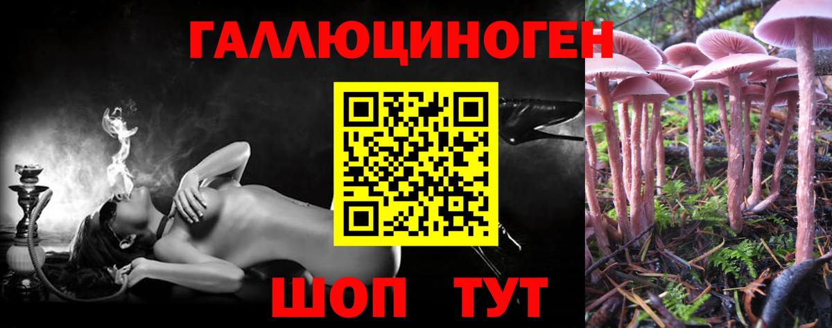 Соль-Илецк  Галлюциногенные грибы мицелий  Галлюциногенные грибы Psilocybine cubensis  Вход с VPN 