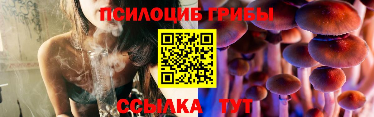 Псилоцибиновые грибы Psilocybe Соль-Илецк